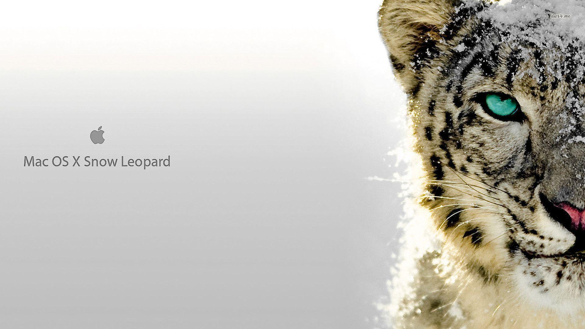 Buy Mac Os X 10.6 Snow Leopard Download